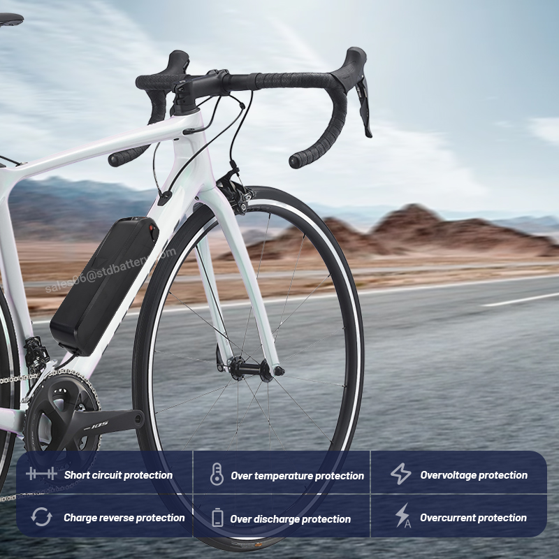 Аккумулятор для электровелосип – обзор и цена Ebike Battery 48V 20Ah Hailong
