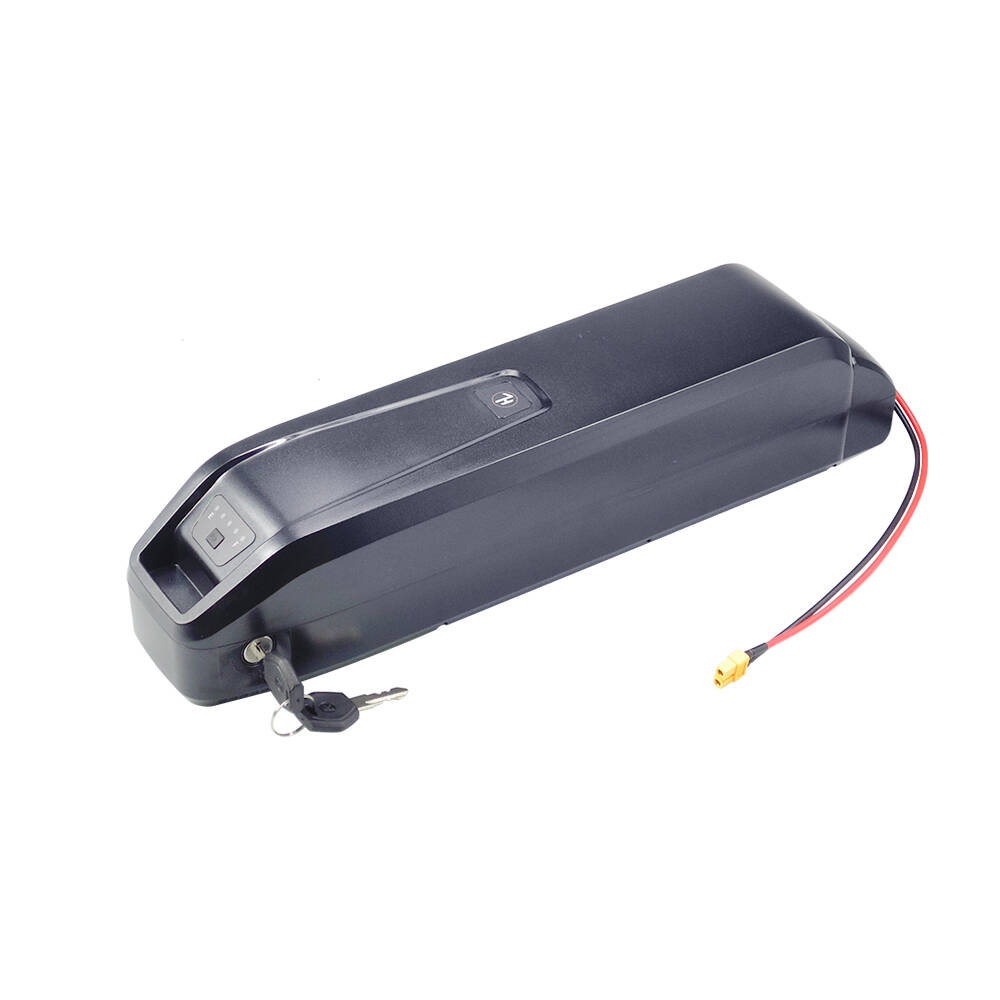 Новый аккумулятор Hailong Ebik – обзор и цена Ebike Battery 48V 20Ah Hailong