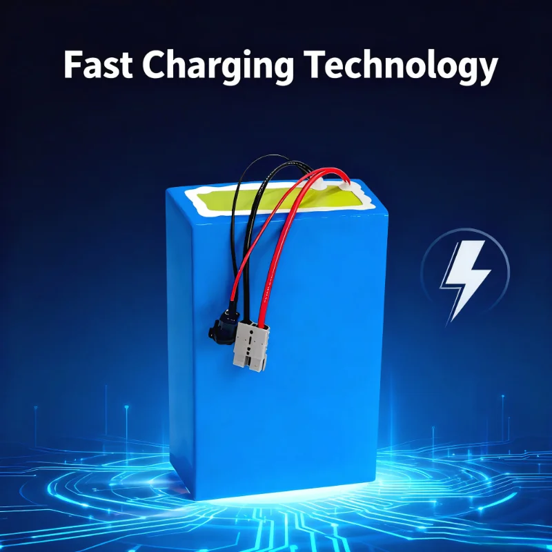 Литий-ионный аккумулятор BMS 7 – обзор и цена Electric Bicycle Battery 72V 30Ah